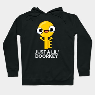 Just A Lil Door-key Cute Dorky Key Pun Hoodie